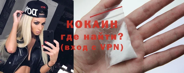 крисы Инта