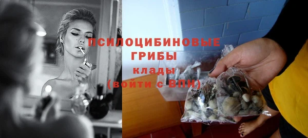 крисы Инта