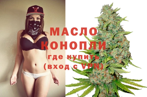 крисы Инта
