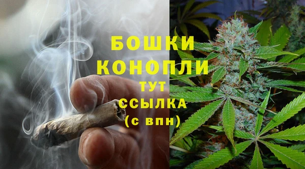 крисы Инта