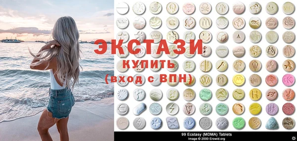 крисы Инта