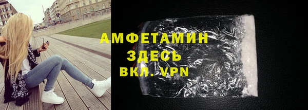 крисы Инта