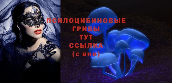 крисы Инта
