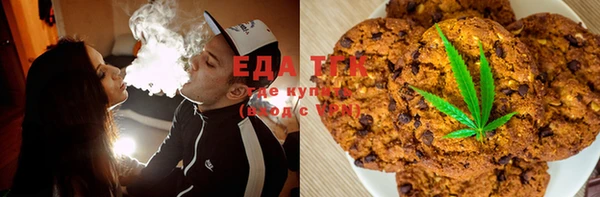 крисы Инта